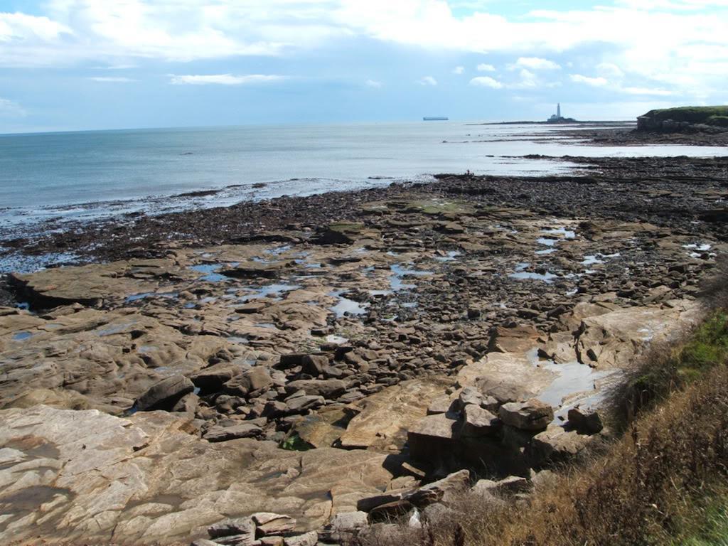 Lighthouse Guest House Whitley Bay Exterior foto